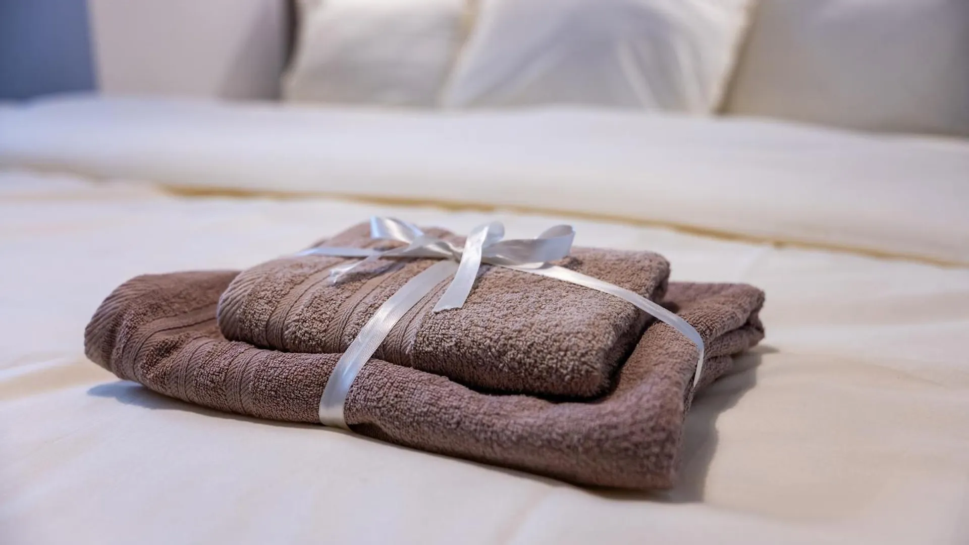 Top Centre Spacious 2 Bedroom Apartment Sofia
